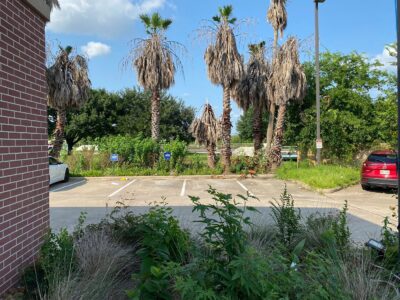Hampton Inn Houston Hobby Airport